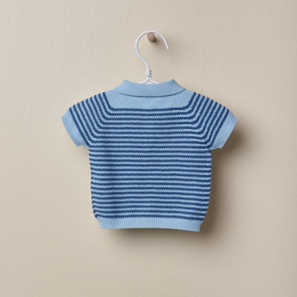 Camisola polo tricotada em algodão | BABY LION - Wedoble